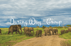 The Daring Way Group