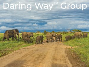 Daring Way Groups